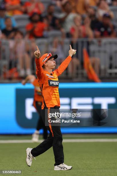 Chloe Piparo of the Scorchers celebrates after taking a catch to dismiss Tahlia McGrath of the Strikers during the Women's Big Bash League Final...