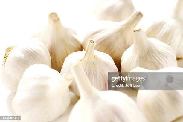 whole garlic bulbs - garlic stock pictures, royalty-free photos & images