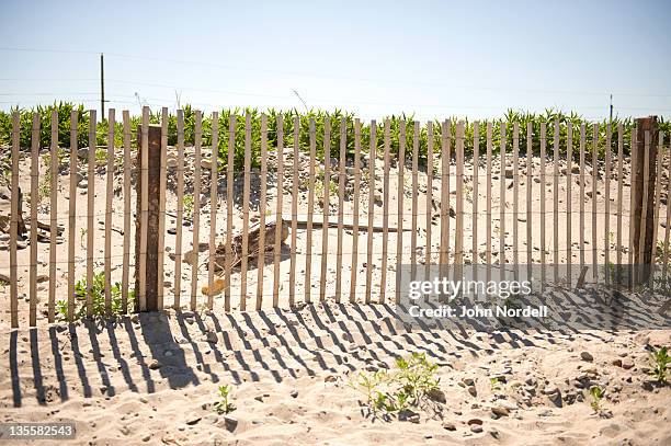 fencing protecting the dunes and preventing erosion at duxbury beach, duxbury, massachusetts, usa, 16 june 2010 - duxbury, massachusetts stock pictures, royalty-free photos & images