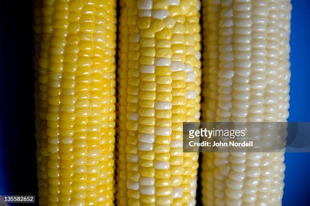 yellow corn, butter and sugar corn and white corn - alternative energy stock-fotos und bilder