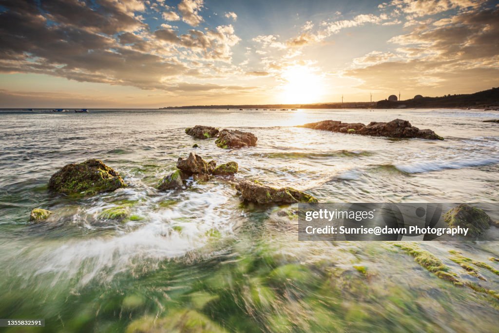 Corals Reeft in  Nanwan, Kenting,  Pintung County