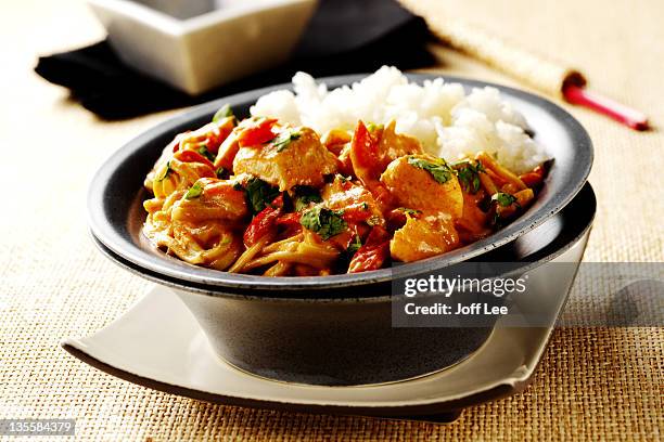 thai red chicken curry with rice - indian food - fotografias e filmes do acervo