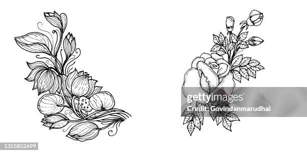 wildflower line art set. flower doodle botanical collection. herbal and meadow plants, grass. vector illustration isolated on white background. chamomile, clover, daisy simple hand drawn elements. - white rose garden stock illustrations