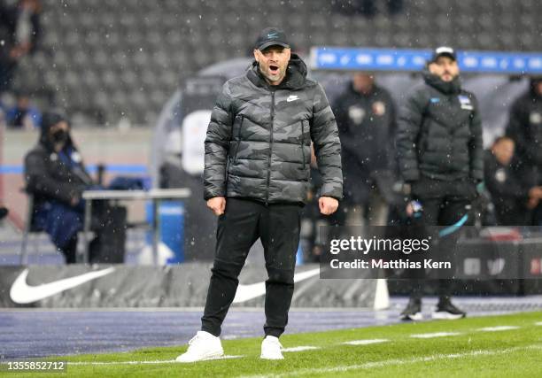 Pal Dardai, Head Coach of Hertha BSC reacts during the Bundesliga match between Hertha BSC and FC Augsburg at Olympiastadion on November 27, 2021 in...