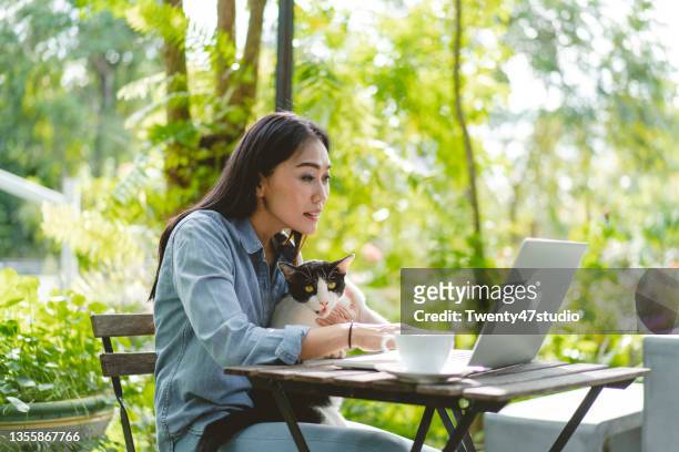asian woman holding a cat using laptop working outdoors - cat laptop stockfoto's en -beelden