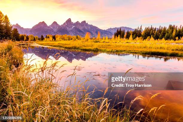 schwabacher's landing in grand teton national park - teton backcountry stock pictures, royalty-free photos & images