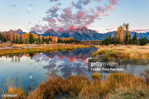 schwabacher's landing in grand teton national park - schwabachers landing stock-fotos und bilder