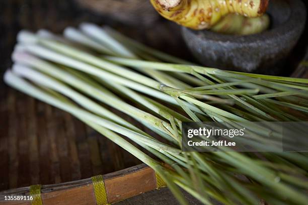 lemongrass (cymbopogon) - lemongrass stockfoto's en -beelden
