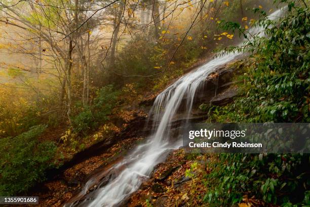 cascade falls - north-carolina-amerikaanse-staat stockfoto's en -beelden