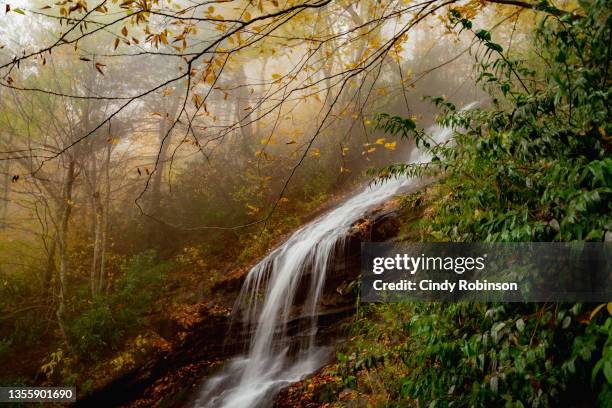 cascade falls - boone north carolina stock pictures, royalty-free photos & images
