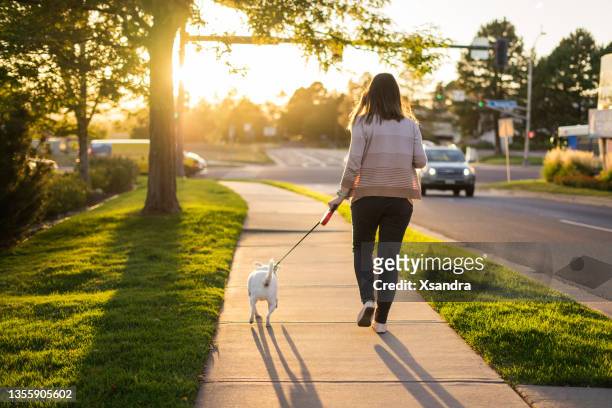 woman walking the dog at sunset - walking trail stock pictures, royalty-free photos & images