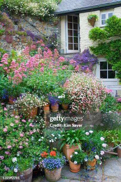 tiered summer planters in sunken courtyard garden, june - flower pot garden stock pictures, royalty-free photos & images