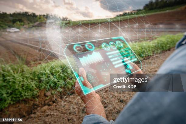 technology smart farming and innovation agricultural concepts. male farm worker using digital tablet with virtual reality artificial intelligence (ai) for plant cultivating preparation in agriculture fields. - agricultura inteligente fotografías e imágenes de stock