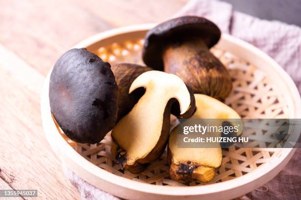 boletus aereus, edible mushrooms - boletus aereus stock pictures, royalty-free photos & images