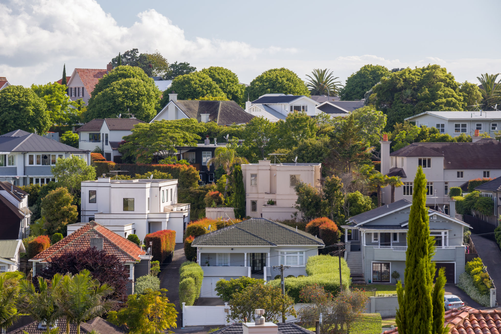 historic auckland home