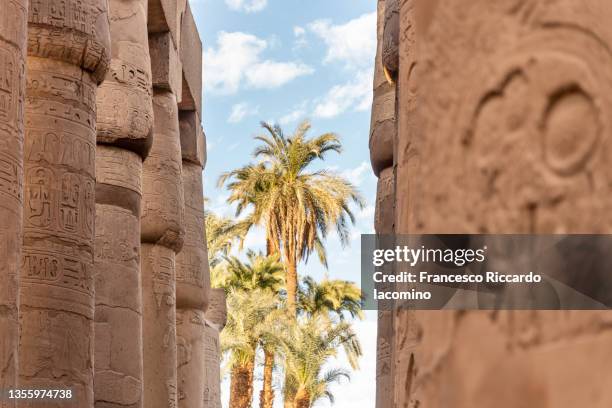 visiting karnak temple, luxor, egypt. columns in the peristyle court - pharaoh photos et images de collection