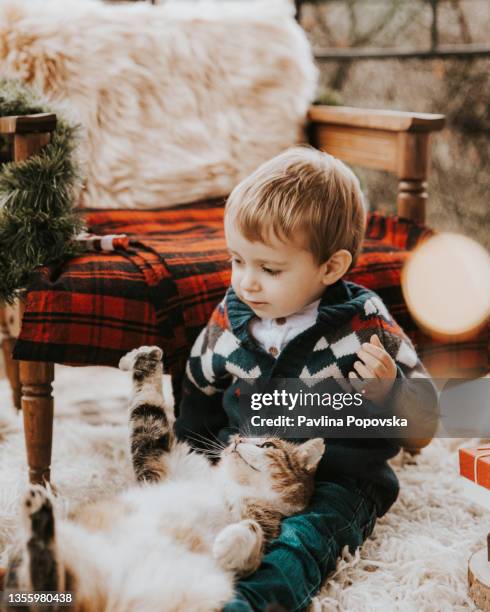 christmas photoshoot of a boy and a cat - cat christmas stock pictures, royalty-free photos & images
