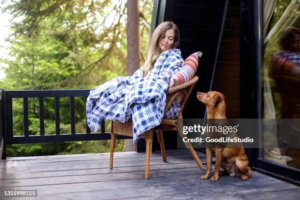 vacaciones con una mascota - pine woodland fotografías e imágenes de stock