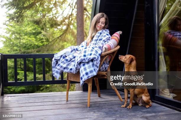 vacation with a pet - pine woodland stock pictures, royalty-free photos & images