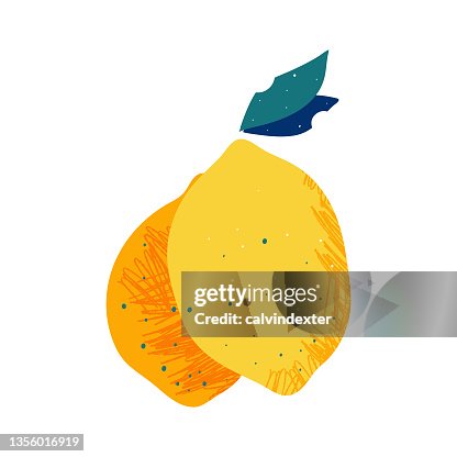 Lemon fruit drawing Lemon fruit drawing