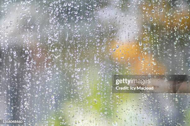 snow and condensation on the glass - severe weather alert stock pictures, royalty-free photos & images
