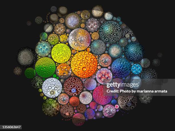 a very complex composite of hundreds of shots mould seen through droplets of condensation on plastic over differently coloured background - biological and identical stock-fotos und bilder