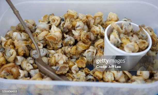 whelks - whelks stock pictures, royalty-free photos & images