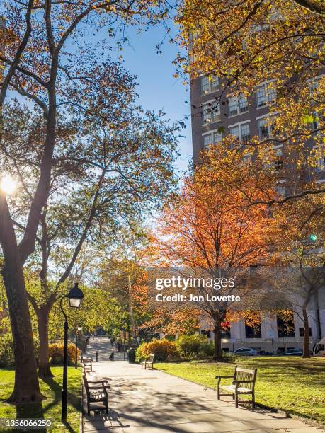 sidewalks through parks in old city philadelphia - washington square park stockfoto's en -beelden