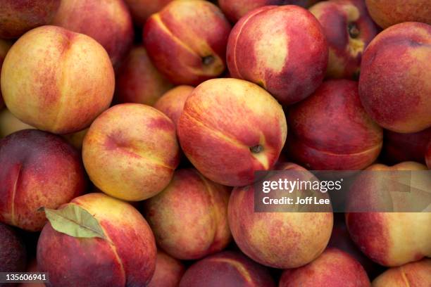 nectarines - peach stock pictures, royalty-free photos & images