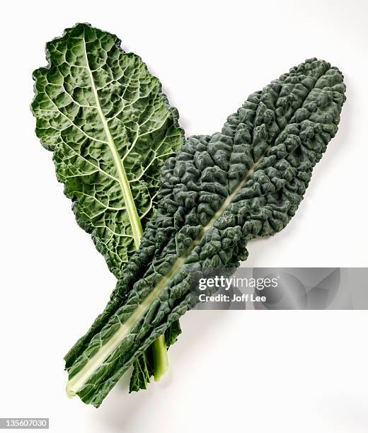 cavolo nero - kale stock pictures, royalty-free photos & images