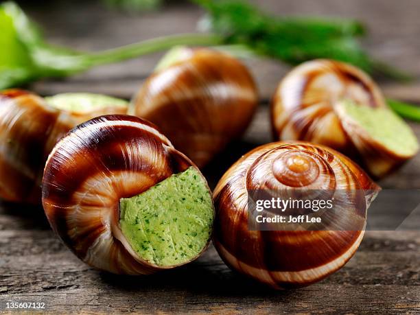 garlic and parsley stuffed snails - snail stock pictures, royalty-free photos & images