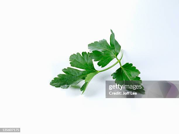 parsley - salsa imagens e fotografias de stock