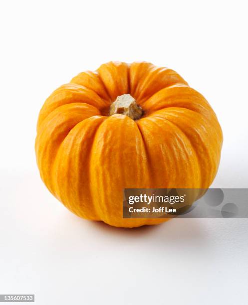 pumpkin - pumpkin ストックフォトと画像