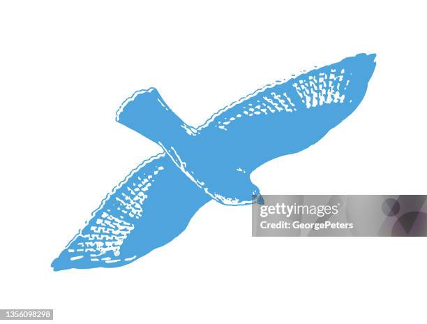 hawk flying - red shouldered hawk stock illustrations