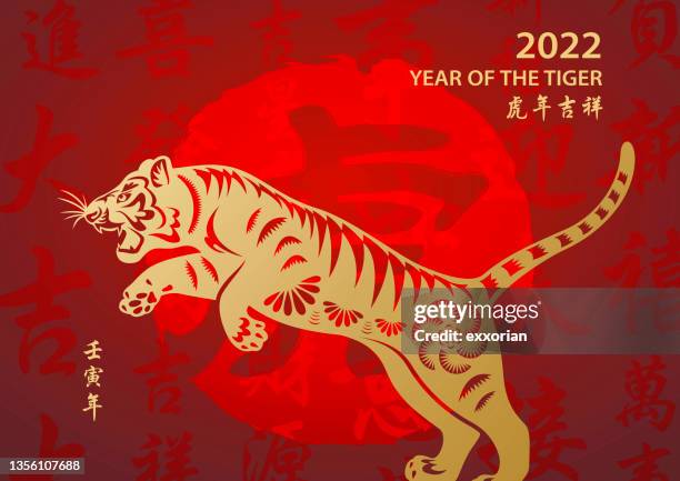 goldenes jahr des tigers - tinte und pinsel stock-grafiken, -clipart, -cartoons und -symbole