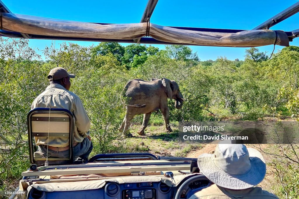 South African Tourism Under Threat With New COVID-19 Variant