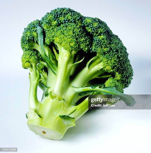 broccoli - broccoli stock pictures, royalty-free photos & images