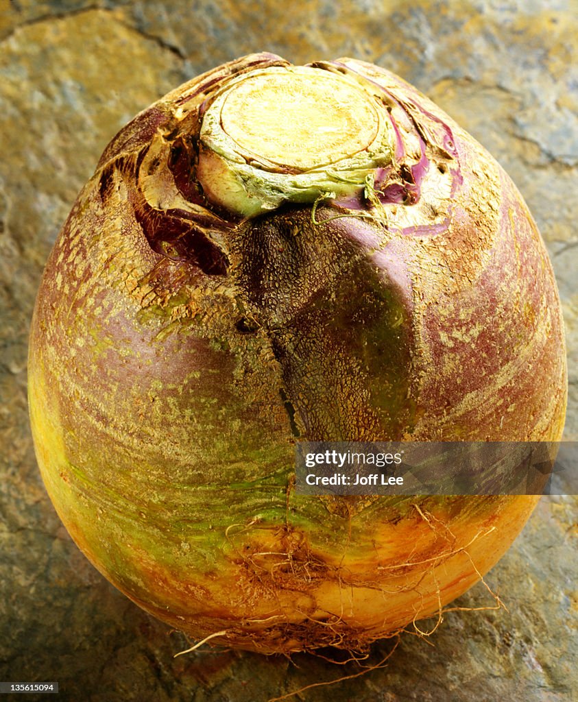 Swede