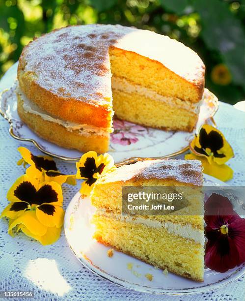victoria sponge in garden setting - sponge cake stock pictures, royalty-free photos & images