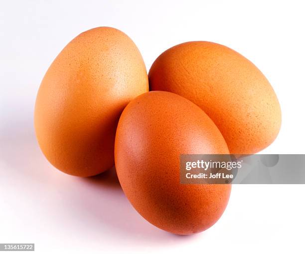three eggs - hen isolated stock pictures, royalty-free photos & images