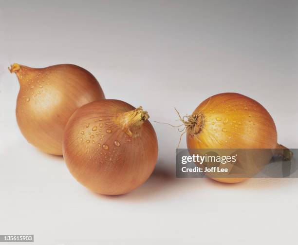 three raw brown onions - タマネギ ストックフォトと画像