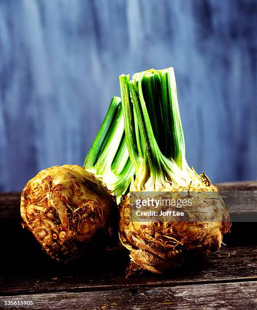 celeriac - celeriac stockfoto's en -beelden