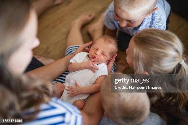 top view of happy young family with four children sitting together on floor in living room, looking at newborn baby. - large family stock pictures, royalty-free photos & images