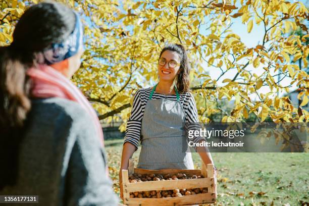 two women carrying crates of walnuts on the organic farm - walnut farm stock pictures, royalty-free photos & images