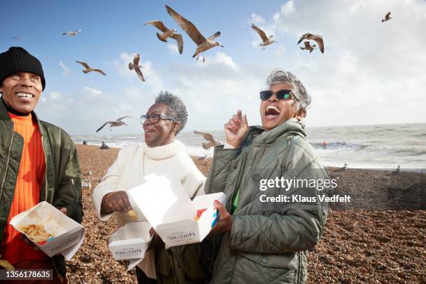cheerful senior people with food containers at beach - seagull ストックフォトと画像