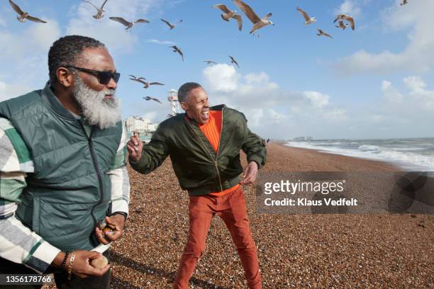 cheerful male senior friends playing with stones at beach - skimming stones stock-fotos und bilder