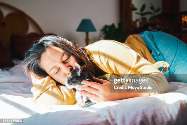 shot of a young woman lying on her bed and bonding with her cat - cat studio shot stock pictures, royalty-free photos & images