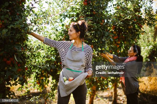 women working at the farm yard - farm worker stock pictures, royalty-free photos & images