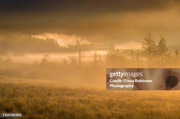 view of fog and mist in the early morning light at the skagit-sauk valley in the north cascades, washington state - everett stock-fotos und bilder