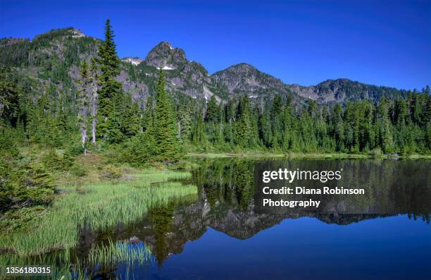 view of picture lake and reflection in mt. baker - snoqualmie national forest, washington state - everett washington state stockfoto's en -beelden